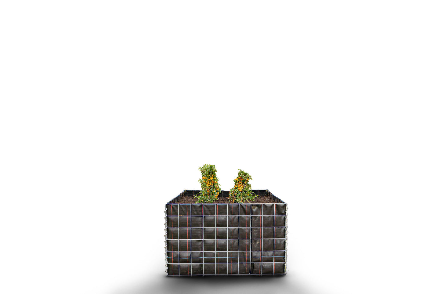 Lit surélevé carré sans zone de pierres - Longueur : 100 cm - Hauteur : 60 cm - Profondeur : 100 cm - Largeur des mailles : 10 x 10 cm