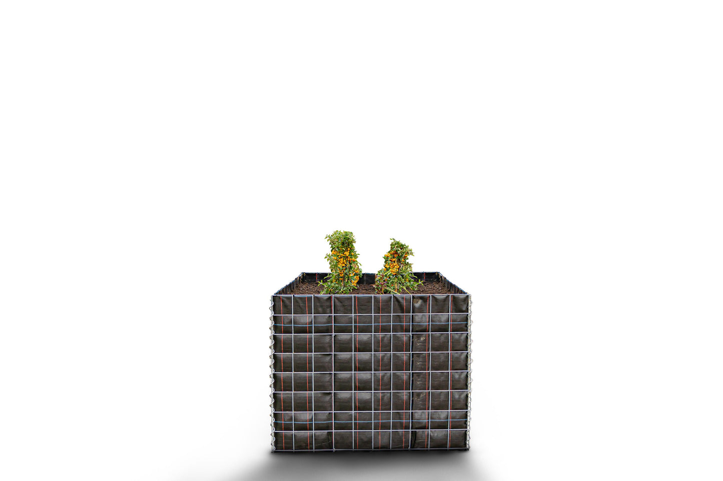 Lecho elevado rectangular sin zona de piedras - Longitud: 100 cm - Altura: 80 cm - Profundidad: 100 cm - Luz de malla: 10 x 10 cm