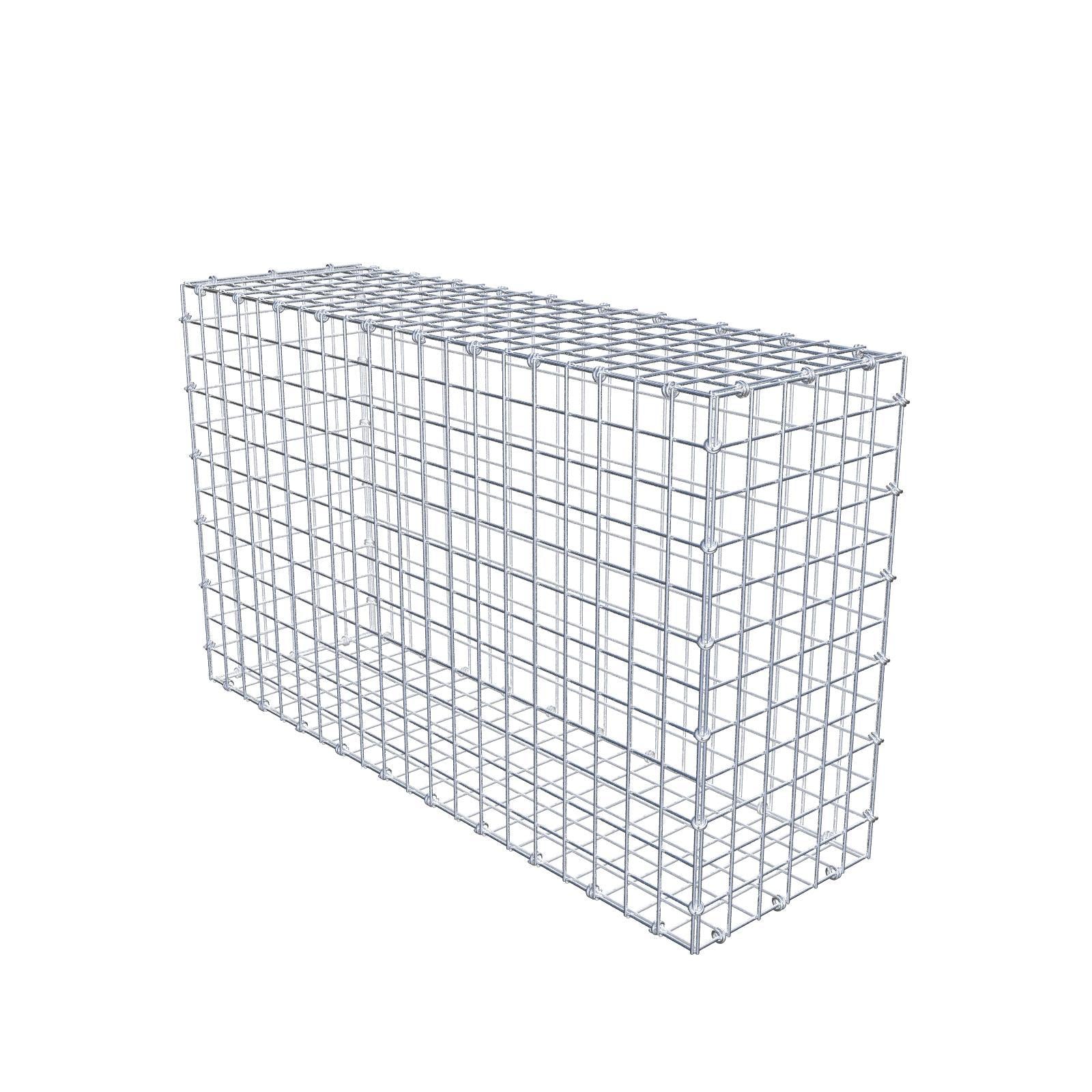 Gabione 100 cm x 60 cm x 30 cm (L x H x T), Maschenweite 5 x 5 cm, Spiralring