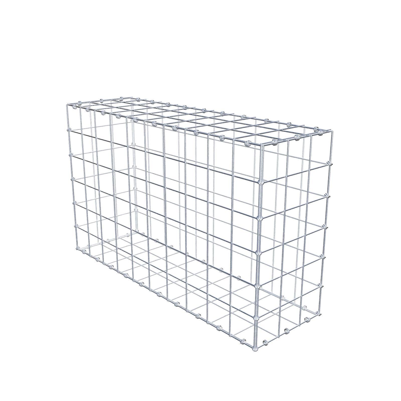 Gabion 100 cm x 60 cm x 30 cm (L x H x P), mailles 10 x 10 cm, anneau en spirale