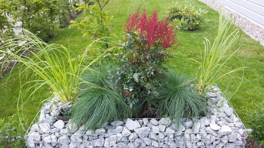 Högbädd, fyrkantig 100 cm x 40 cm x 40 cm (L x H x D), maskstorlek 5 x 5 cm, väggtjocklek 10 cm