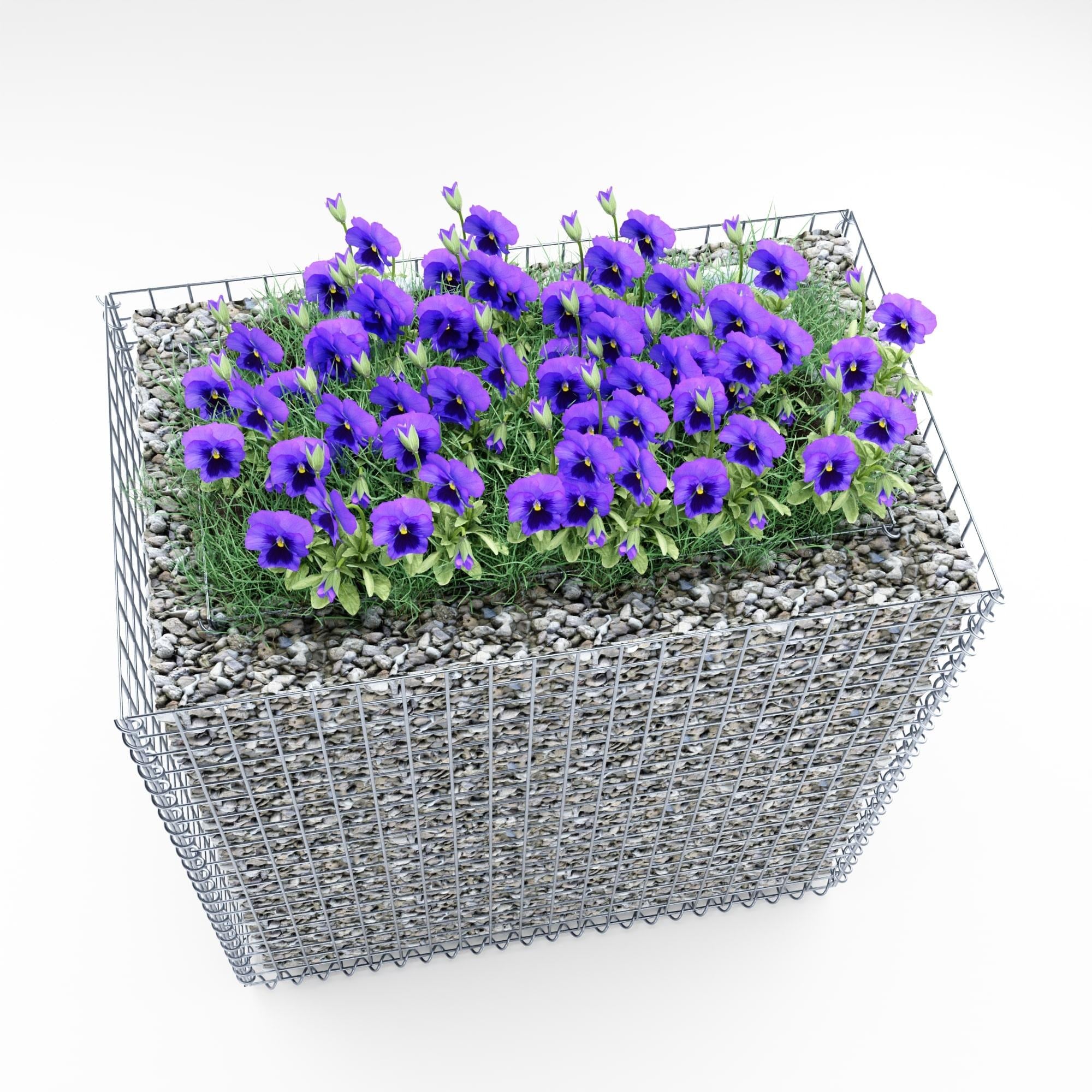 Raised bed square 100 cm x 100 cm x 60 cm (L x H x D), mesh size 5 x 5 cm, wall thickness 10 cm