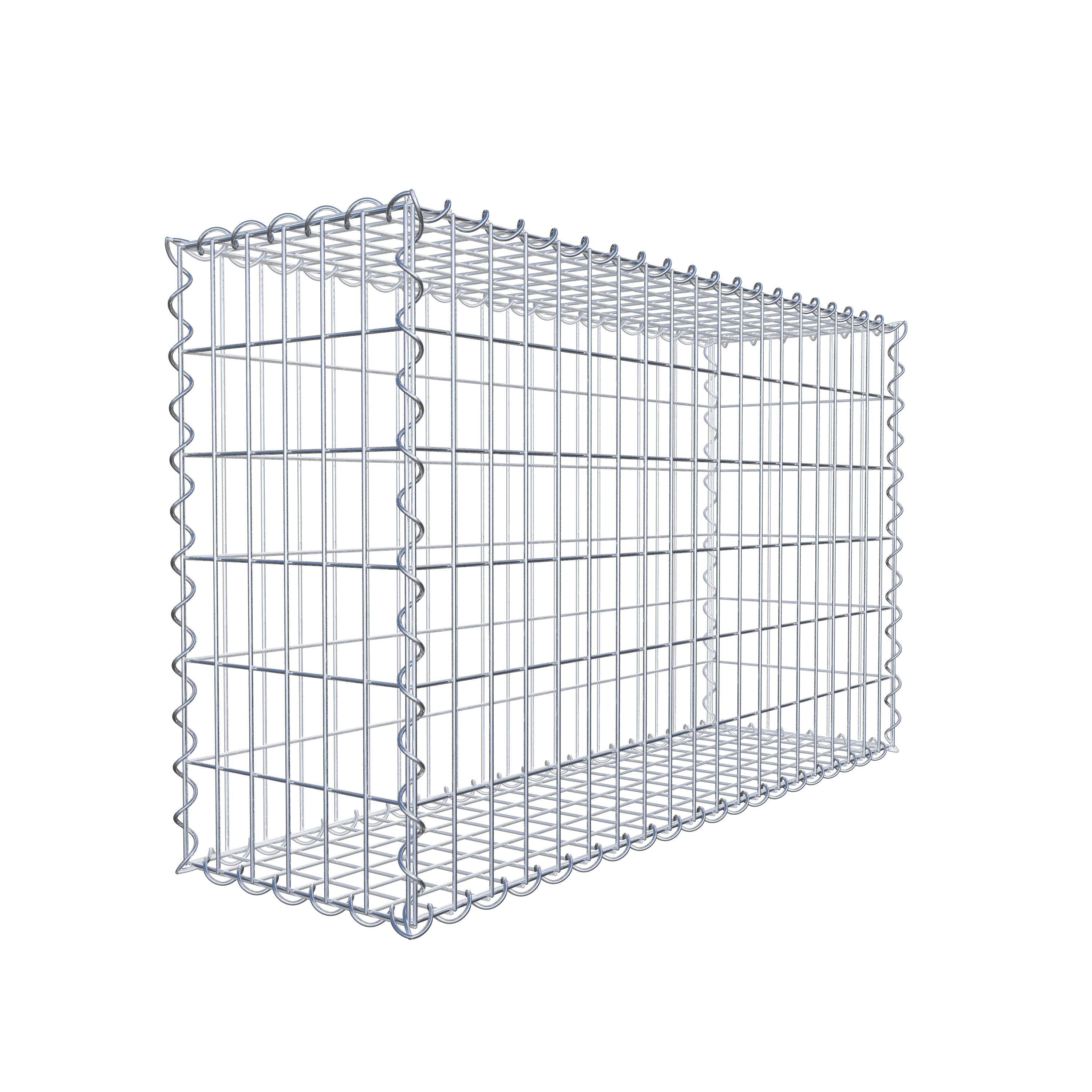 Gabion 100 cm x 60 cm x 30 cm (L x H x P), mailles 5 cm x 10 cm, spirale