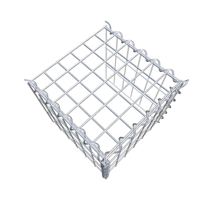 Grown-on gabion type 4 30 cm x 30 cm x 30 cm (L x H x D), mesh size 5 cm x 10 cm, spiral
