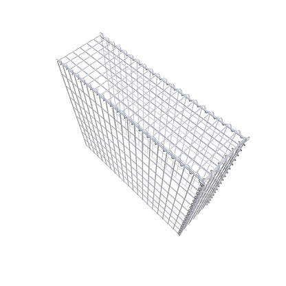 Grown-on gabion type 4 100 cm x 90 cm x 30 cm (L x H x D), mesh size 5 cm x 10 cm, spiral