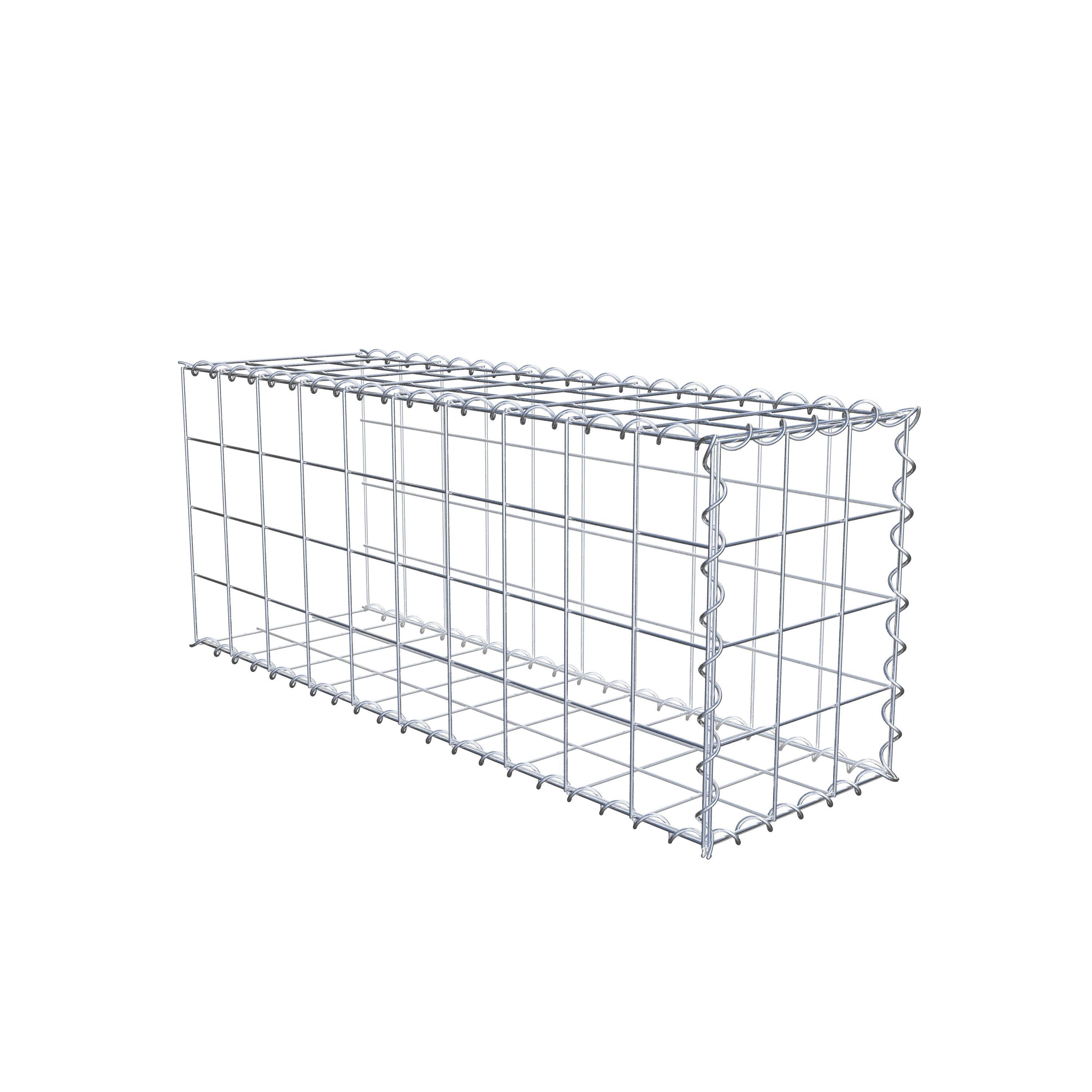 Grown-on gabion type 2 100 cm x 40 cm x 30 cm (L x H x D), mesh size 10 cm x 10 cm, spiral