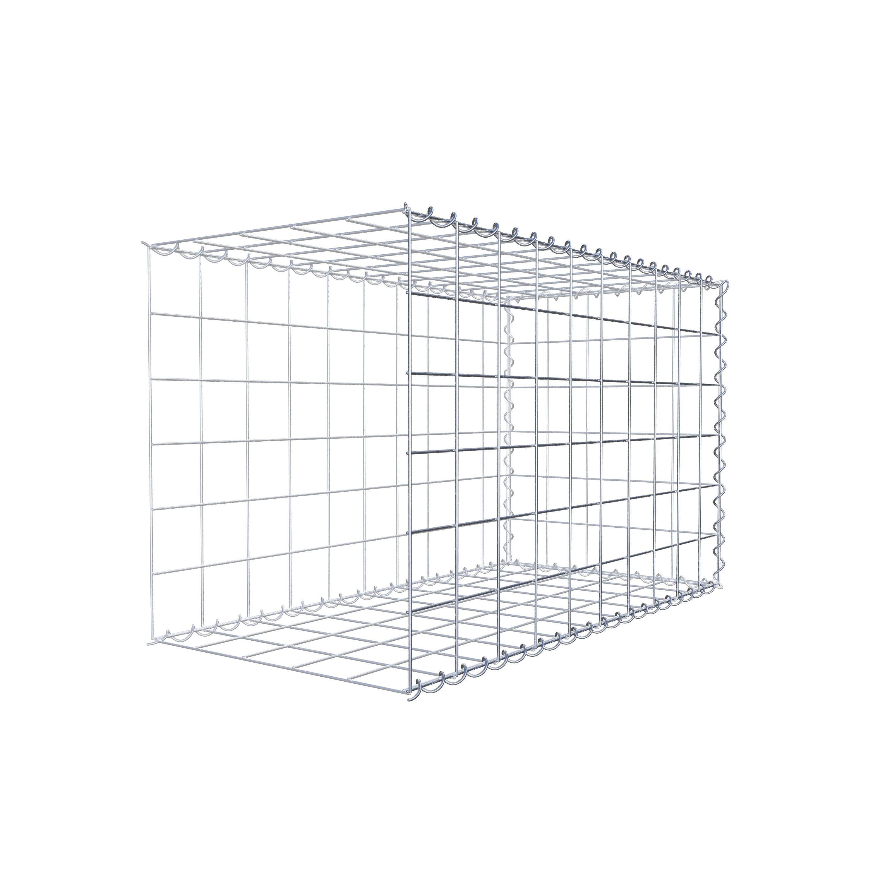 Grown-on gabion type 2 100 cm x 60 cm x 50 cm (L x H x D), mesh size 10 cm x 10 cm, spiral