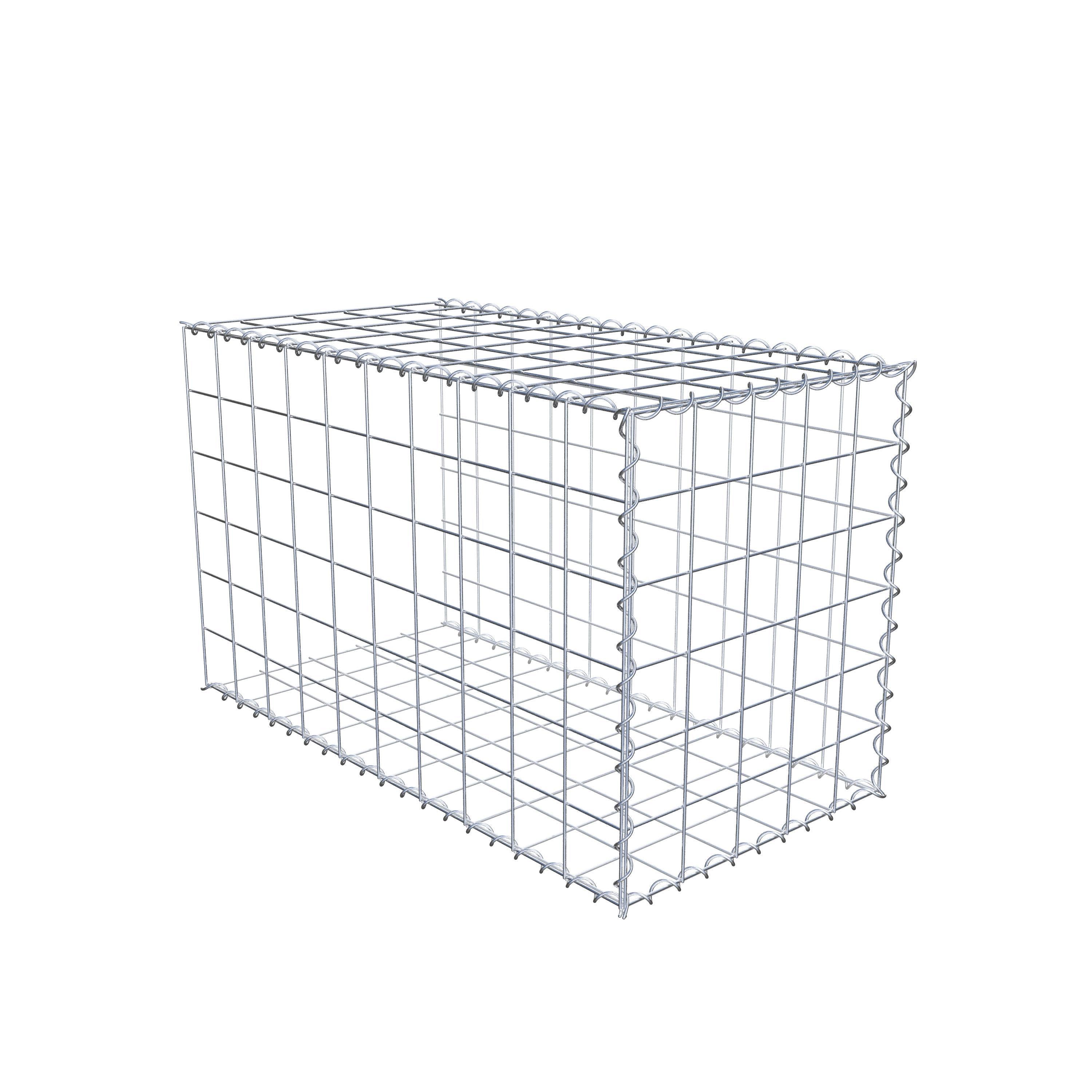 Grown-on gabion type 2 100 cm x 60 cm x 50 cm (L x H x D), mesh size 10 cm x 10 cm, spiral