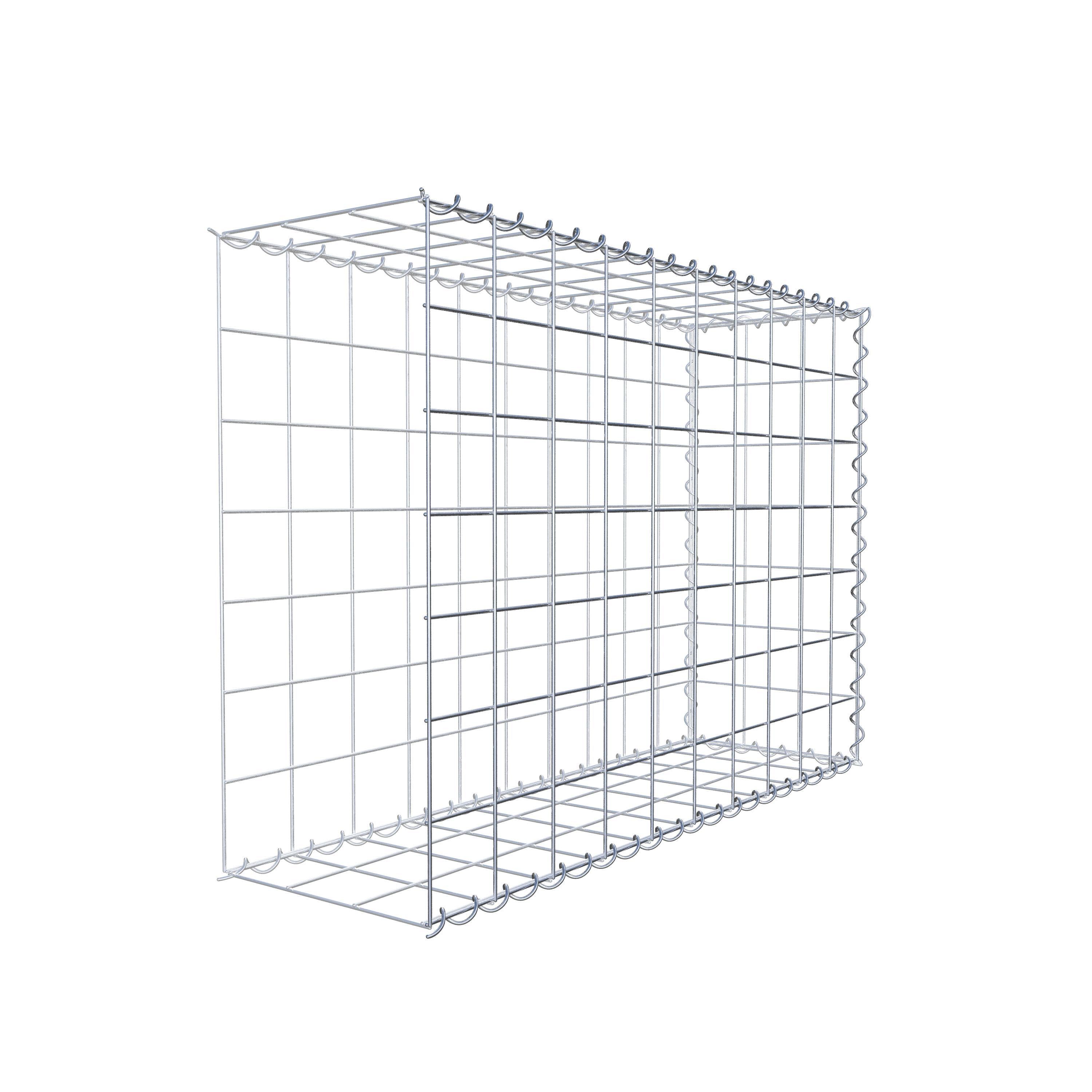 Grown-on gabion type 2 100 cm x 70 cm x 30 cm (L x H x D), mesh size 10 cm x 10 cm, spiral