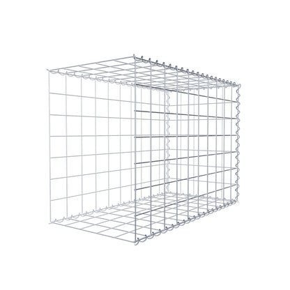 Grown-on gabion type 2 100 cm x 70 cm x 50 cm (L x H x D), mesh size 10 cm x 10 cm, spiral
