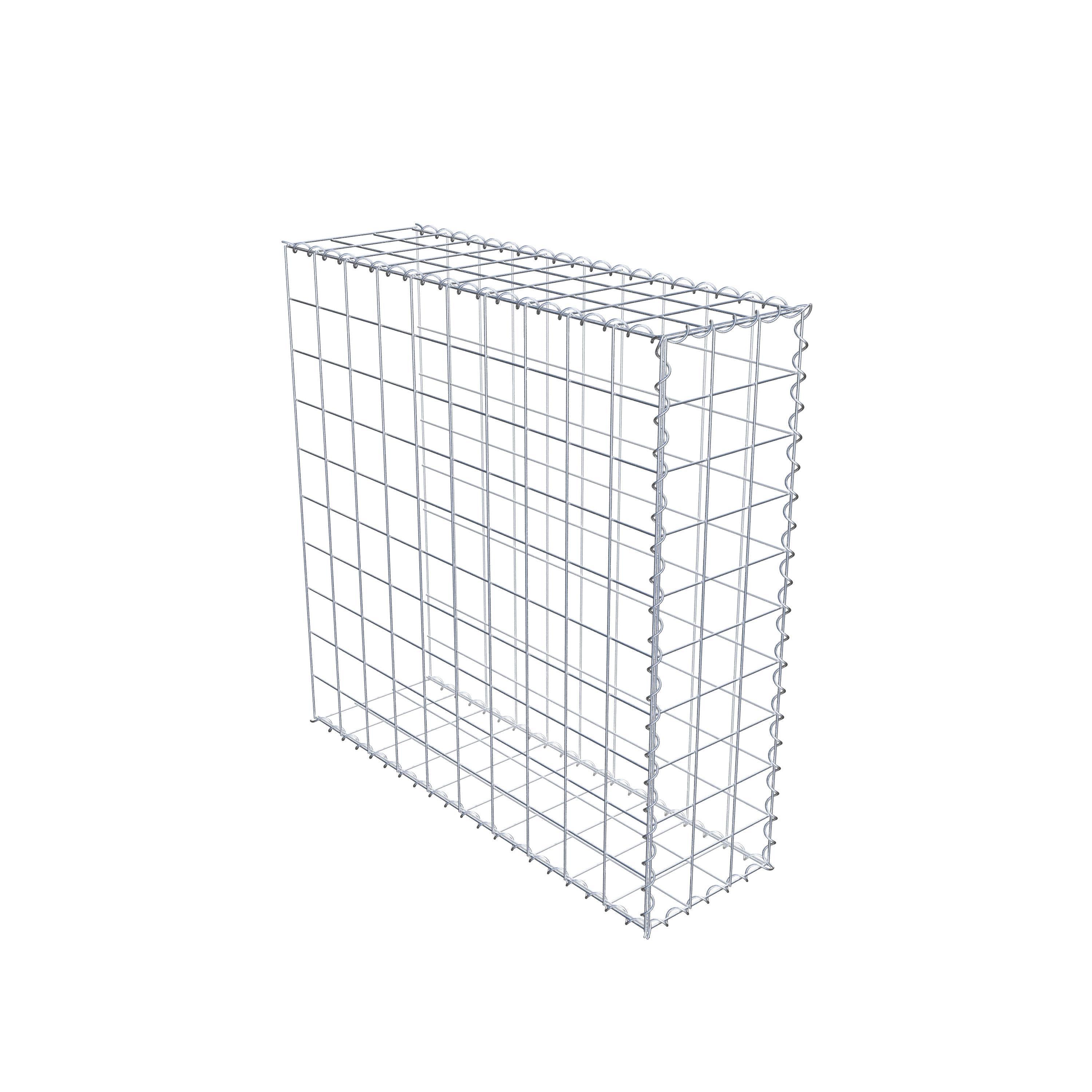 Grown-on gabion type 2 100 cm x 100 cm x 30 cm (L x H x D), mesh size 10 cm x 10 cm, spiral