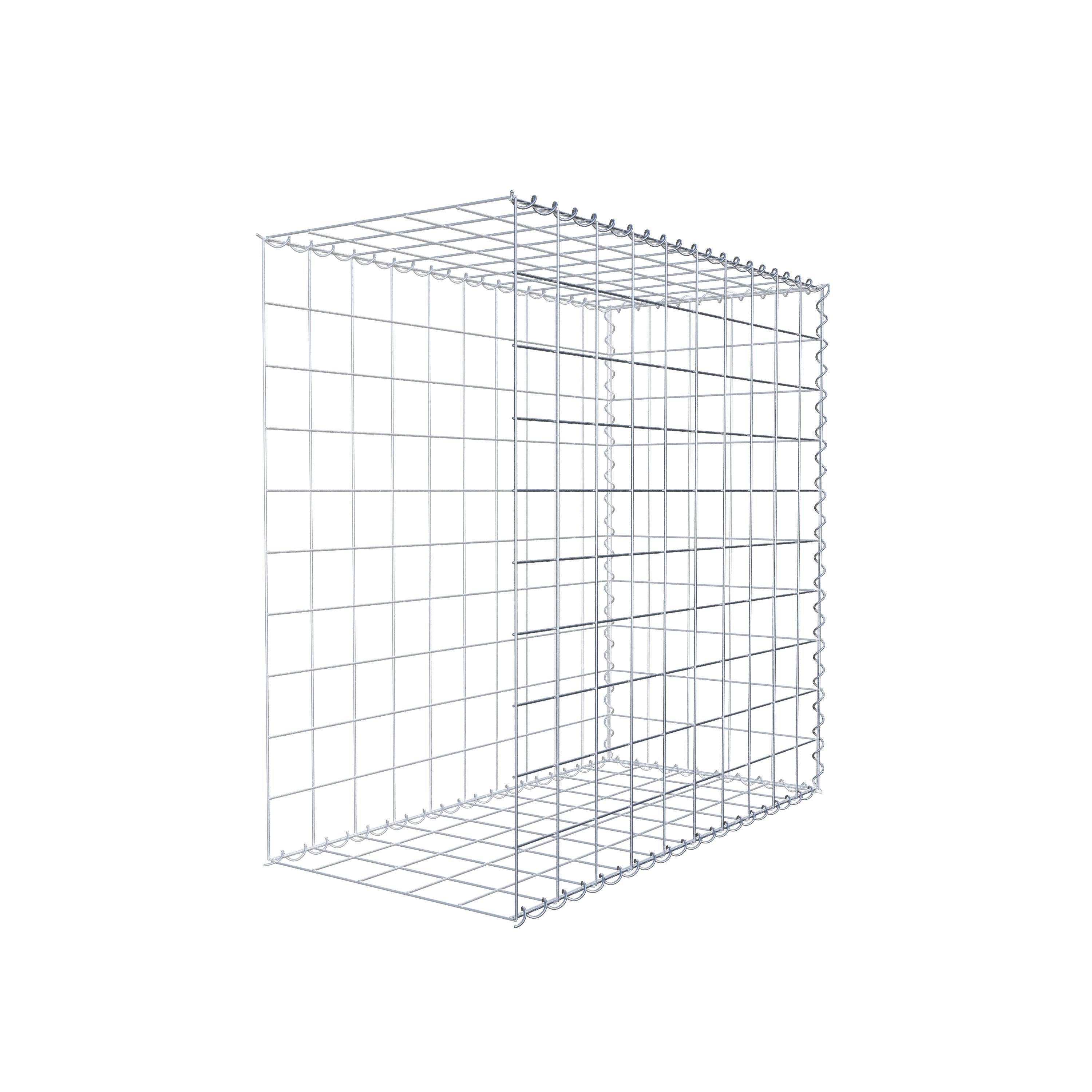 Grown-on gabion type 2 100 cm x 100 cm x 50 cm (L x H x D), mesh size 10 cm x 10 cm, spiral