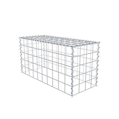 Grown-on gabion type 3 100 cm x 50 cm x 40 cm (L x H x D), mesh size 10 cm x 10 cm, spiral