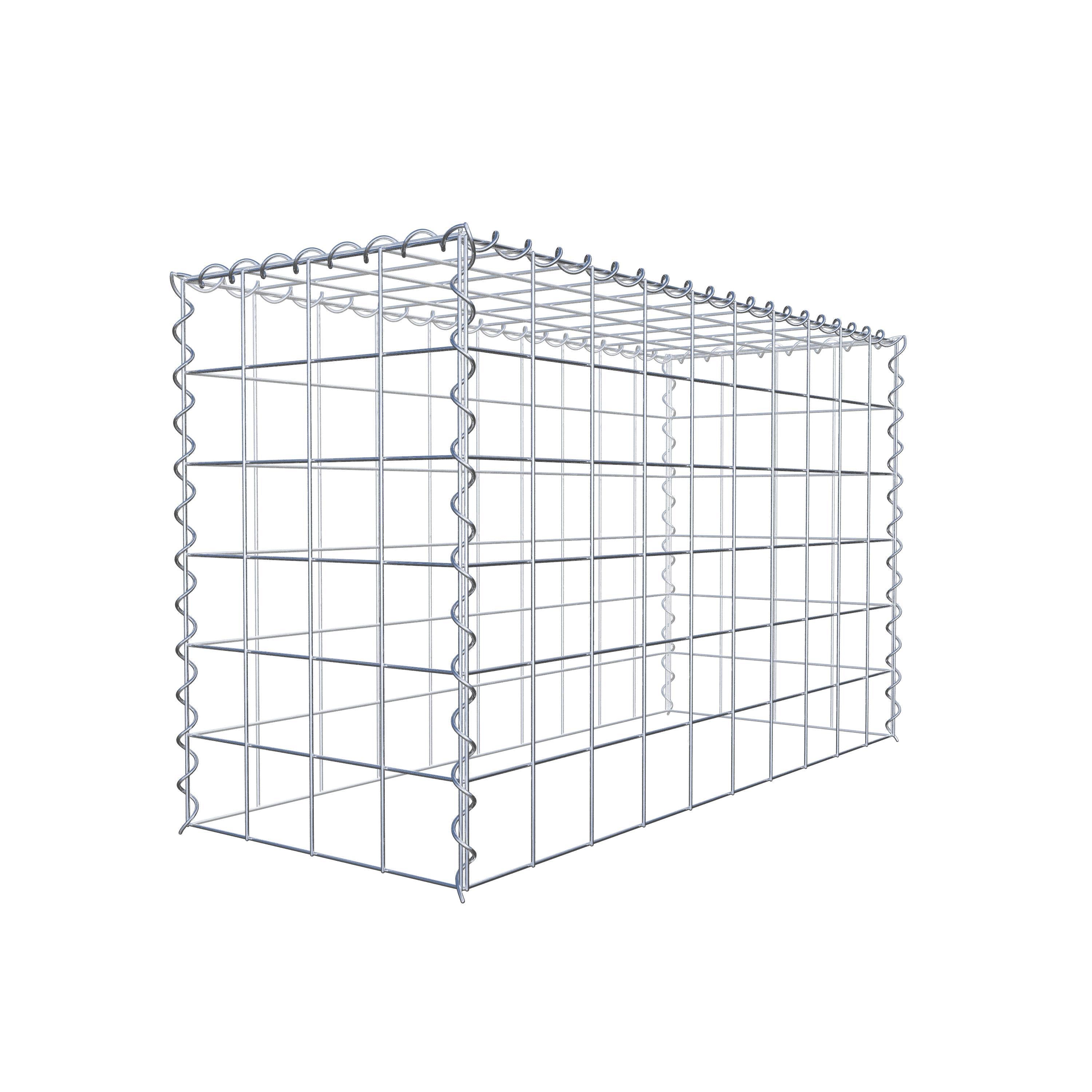 Grown-on gabion type 3 100 cm x 60 cm x 40 cm (L x H x D), mesh size 10 cm x 10 cm, spiral