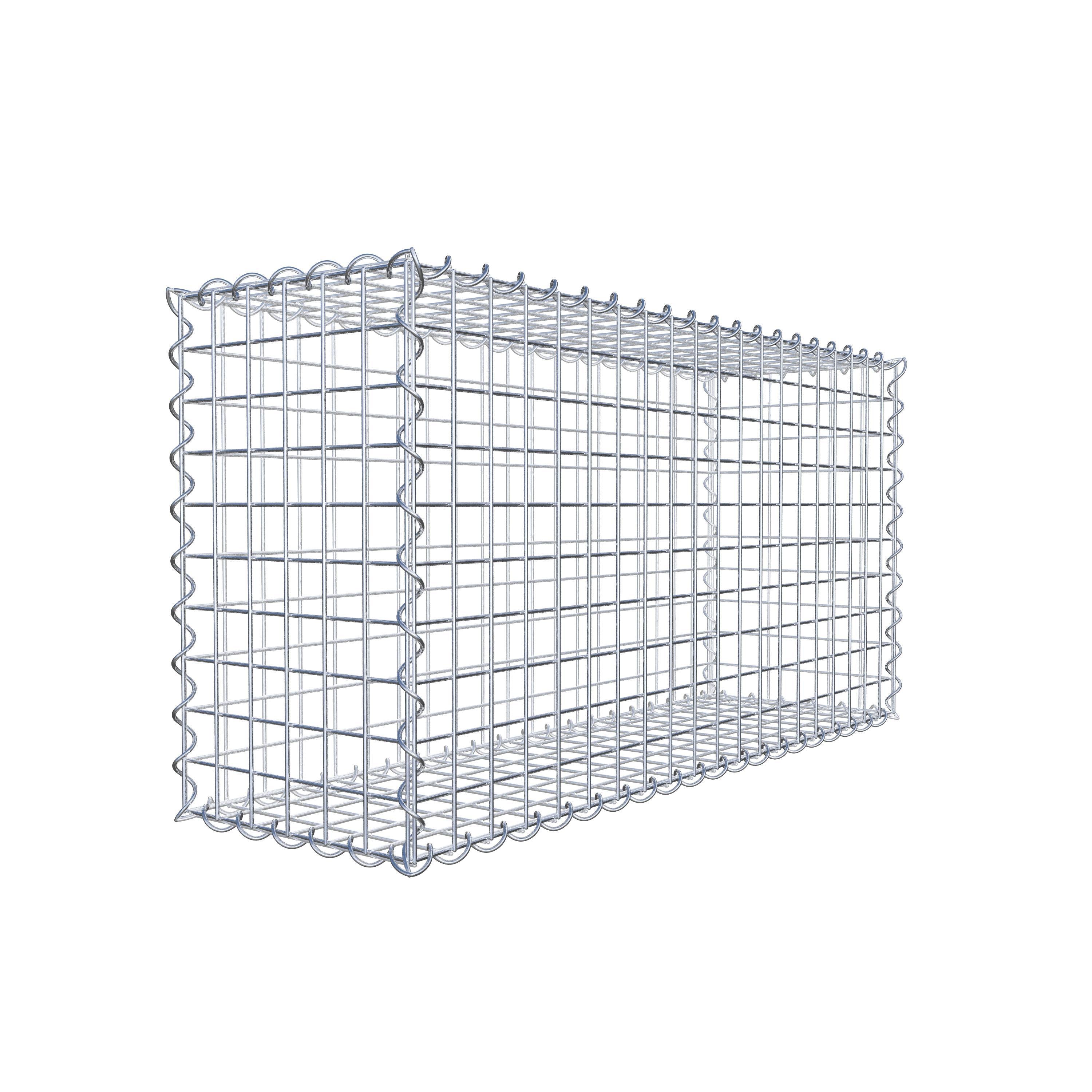 Gabion 100 cm x 50 cm x 30 cm (L x H x P), mailles 5 cm x 5 cm, spirale