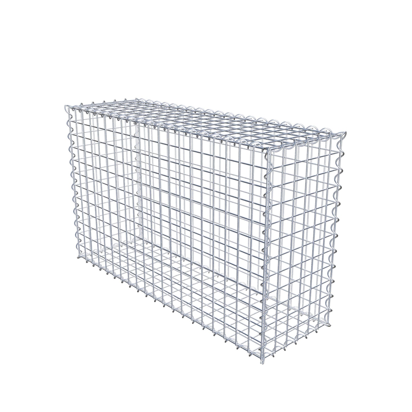 Gabion 100 cm x 60 cm x 30 cm (L x H x P), mailles 5 cm x 5 cm, spirale