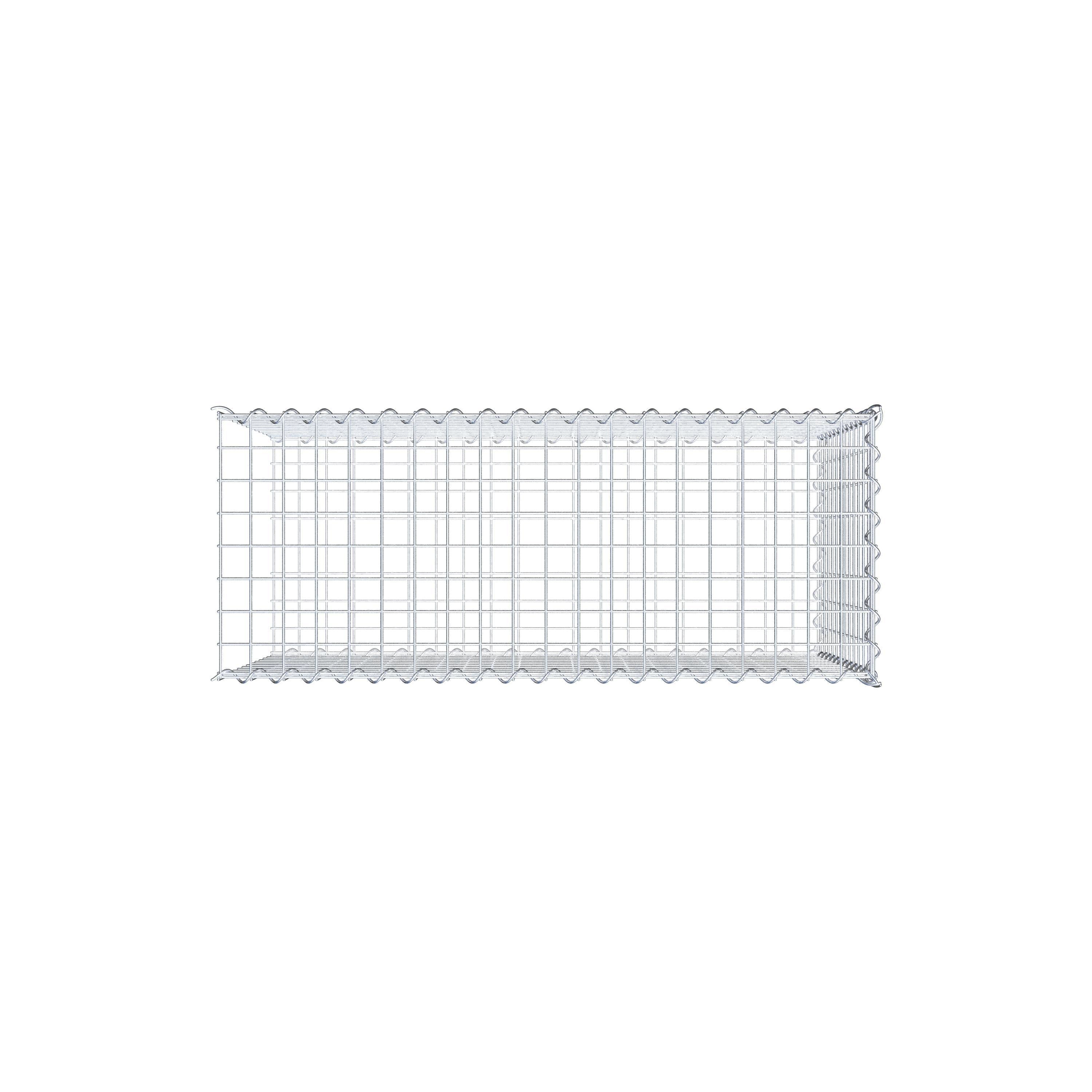 Grown-on gabion type 2 100 cm x 60 cm x 40 cm (L x H x D), mesh size 5 cm x 5 cm, spiral