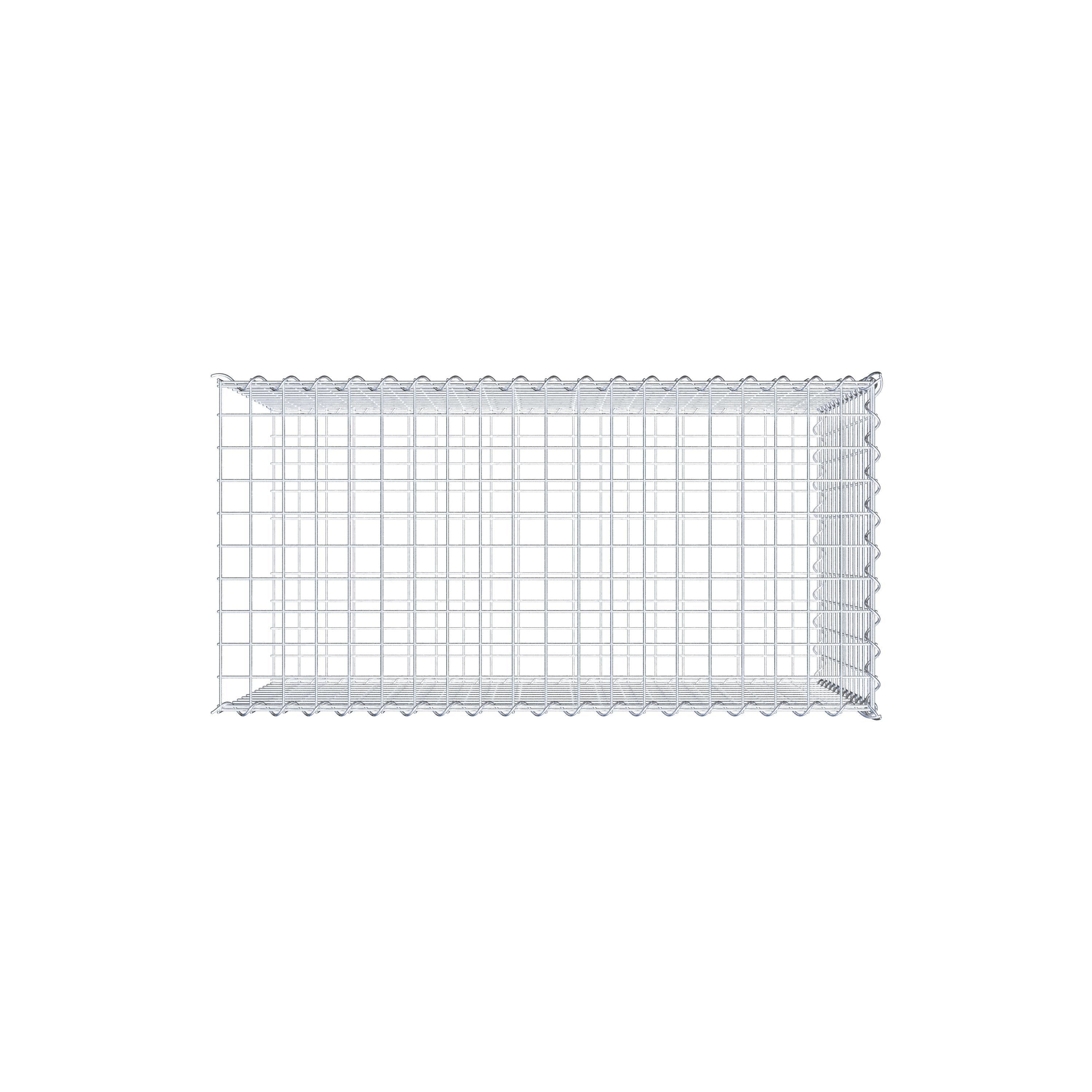 Grown-on gabion type 2 100 cm x 60 cm x 50 cm (L x H x D), mesh size 5 cm x 5 cm, spiral