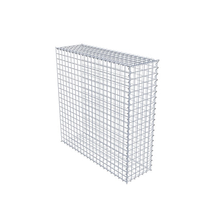 Opvokset gabion type 2 100 cm x 100 cm x 30 cm (L x H x D), maskestørrelse 5 cm x 5 cm, spiral