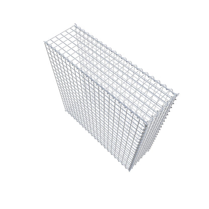 Opvokset gabion type 2 100 cm x 100 cm x 30 cm (L x H x D), maskestørrelse 5 cm x 5 cm, spiral