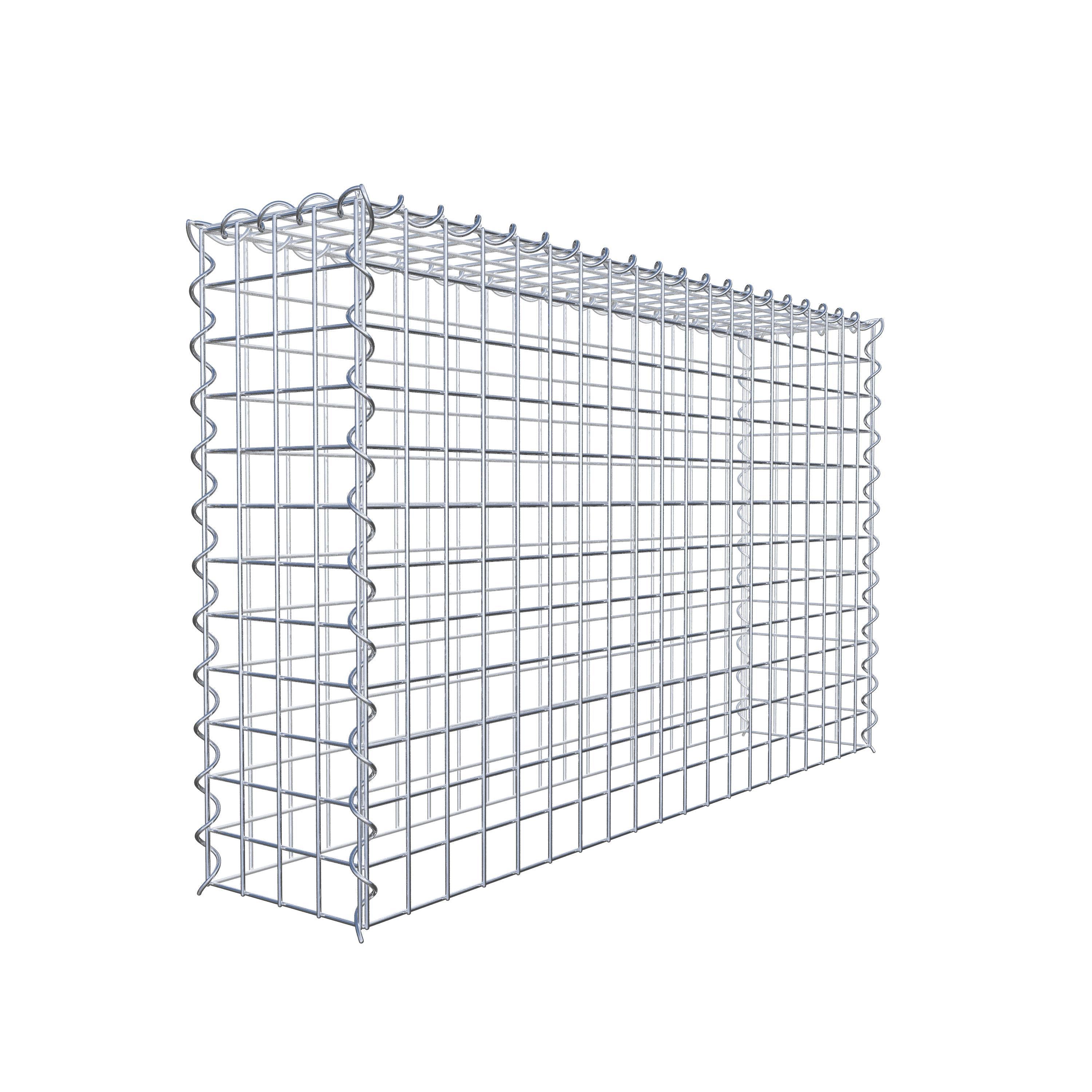 Grown-on gabion type 3 100 cm x 60 cm x 20 cm (L x H x D), mesh size 5 cm x 5 cm, spiral