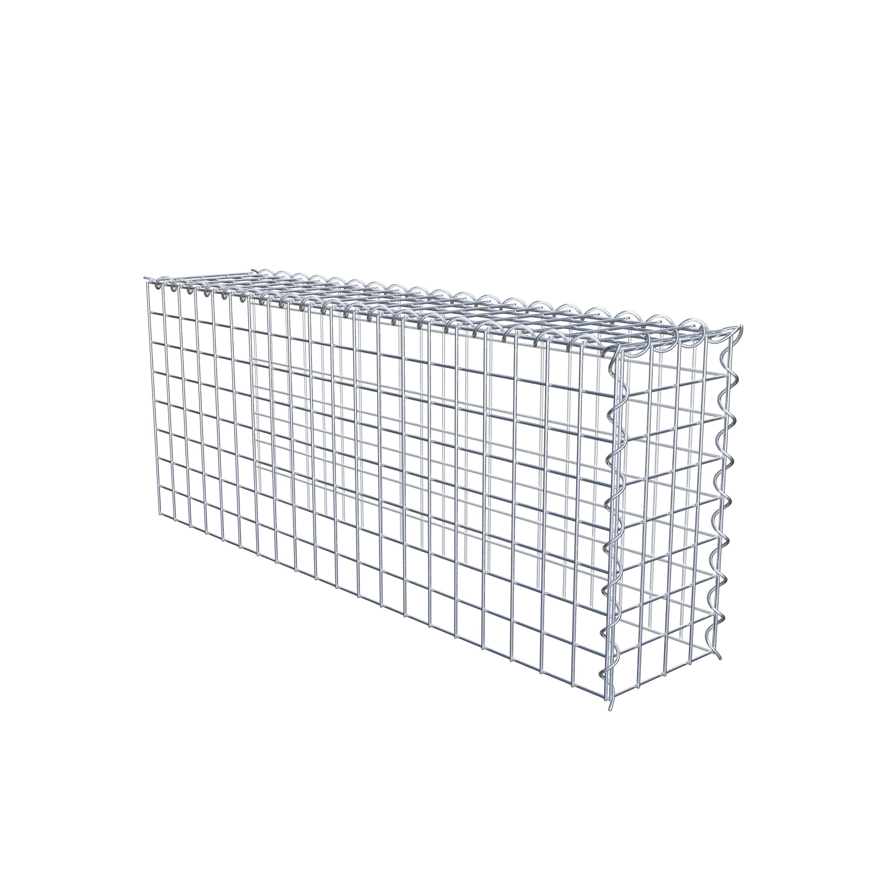 Opvokset gabion type 4 100 cm x 40 cm x 20 cm (L x H x D), maskestørrelse 5 cm x 5 cm, spiral