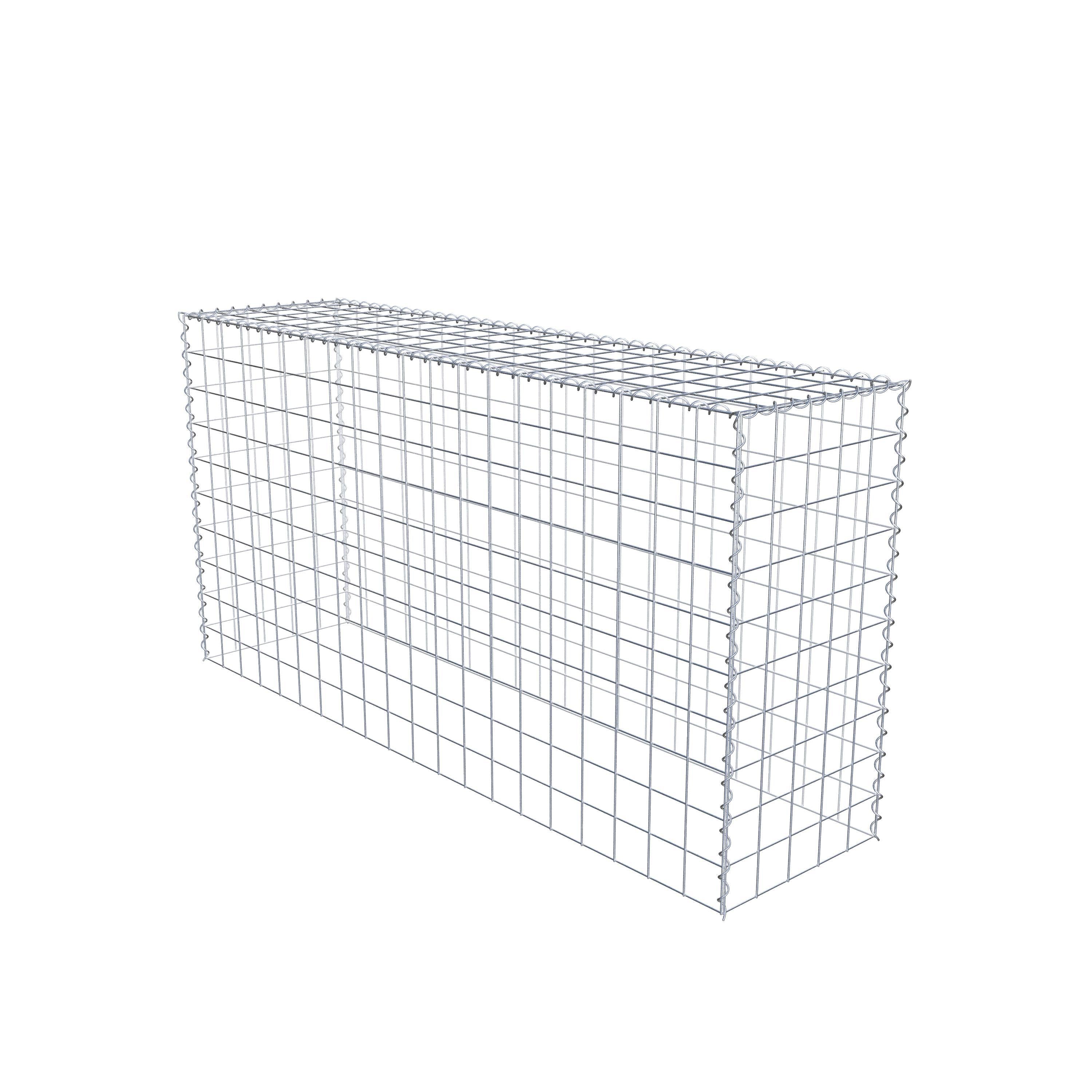 Extra gabion typ 3 200 cm x 100 cm x 50 cm (L x H x D), maskstorlek 10 cm x 10 cm, spiral