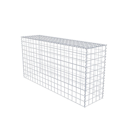 Extra gabion typ 3 200 cm x 100 cm x 50 cm (L x H x D), maskstorlek 10 cm x 10 cm, spiral
