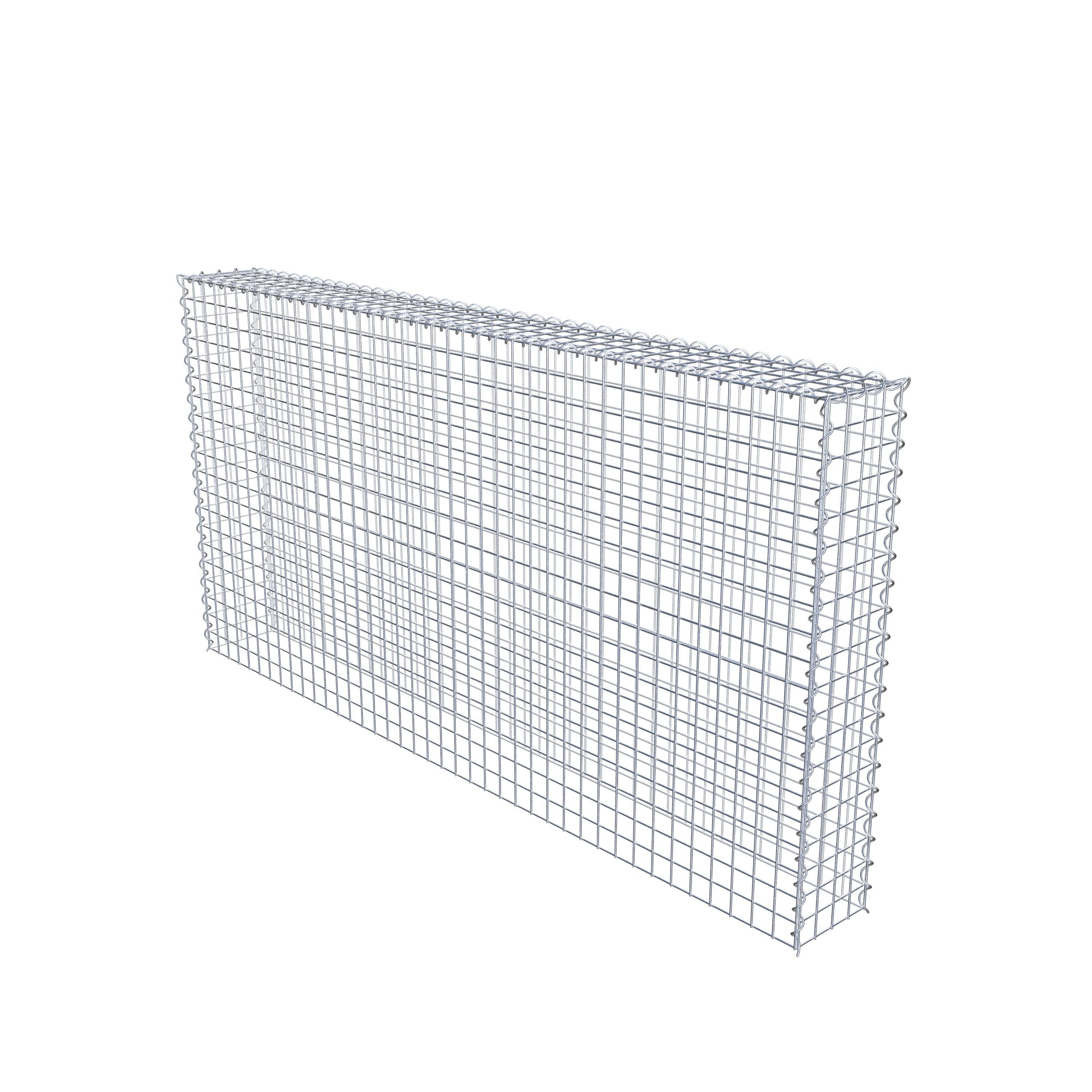 Opvokset gabion type 3 200 cm x 100 cm x 20 cm (L x H x D), maskestørrelse 5 cm x 5 cm, spiral