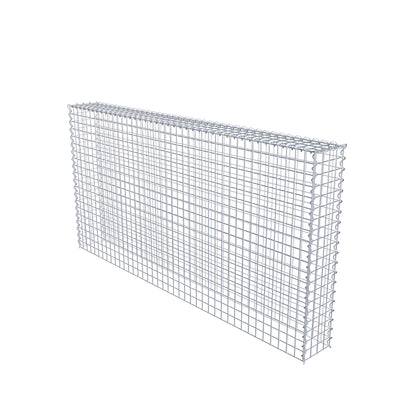 Grown-on gabion type 3 200 cm x 100 cm x 20 cm (L x H x D), mesh size 5 cm x 5 cm, spiral