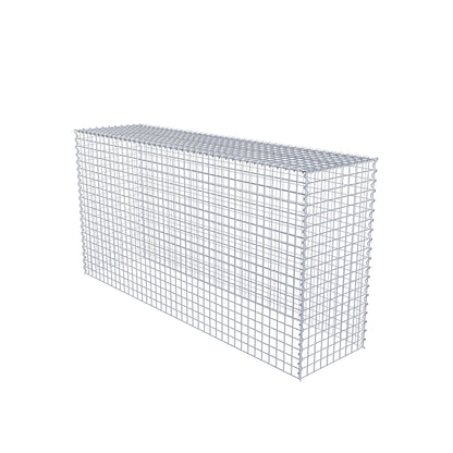 Opvokset gabion type 3 200 cm x 100 cm x 50 cm (L x H x D), maskestørrelse 5 cm x 5 cm, spiral