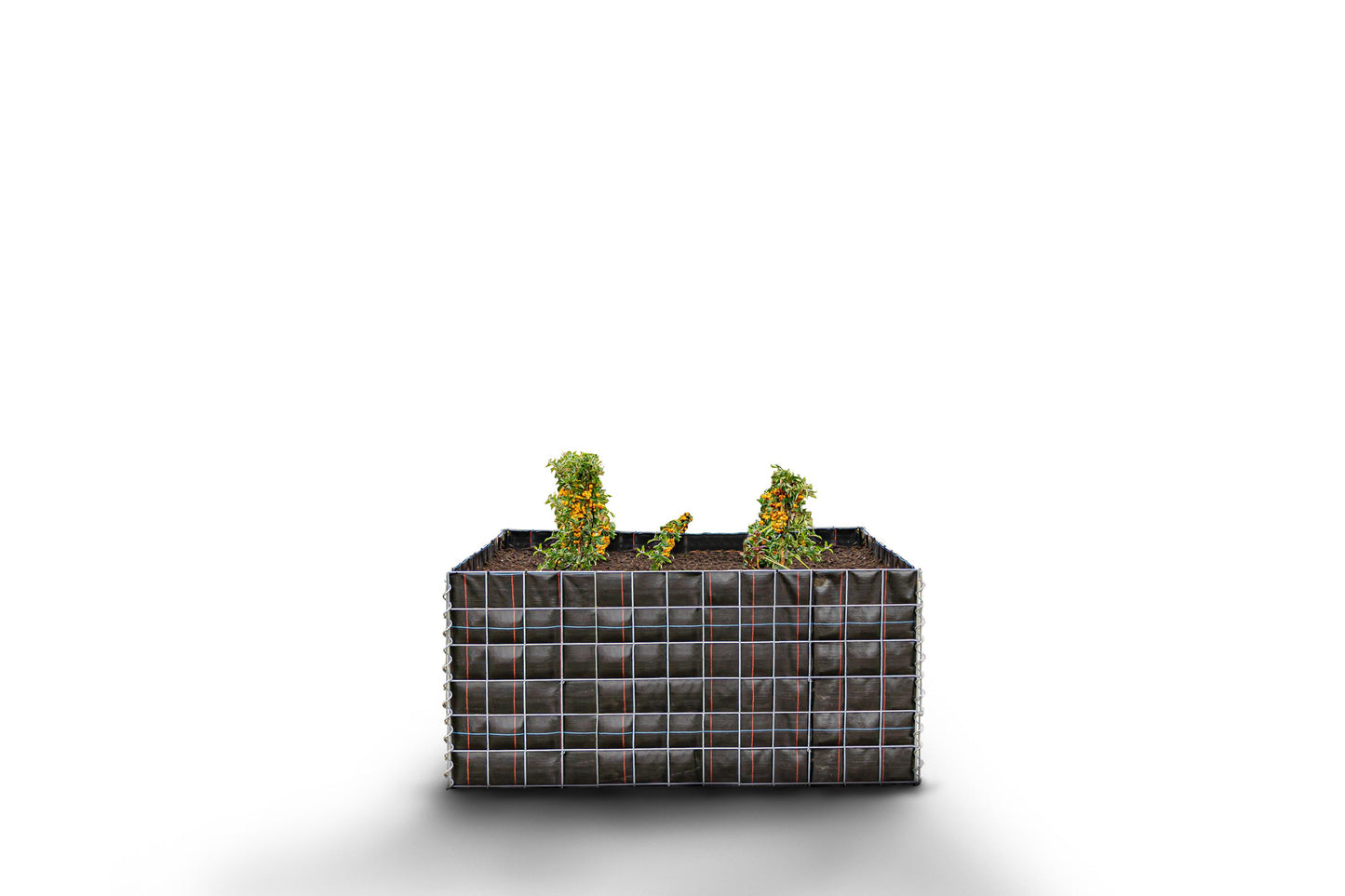 Högbädd, fyrkantig utan stenområde - Längd: 130 cm - Höjd: 60 cm - Djup: 60 cm - Maskstorlek: 10 x 10 cm