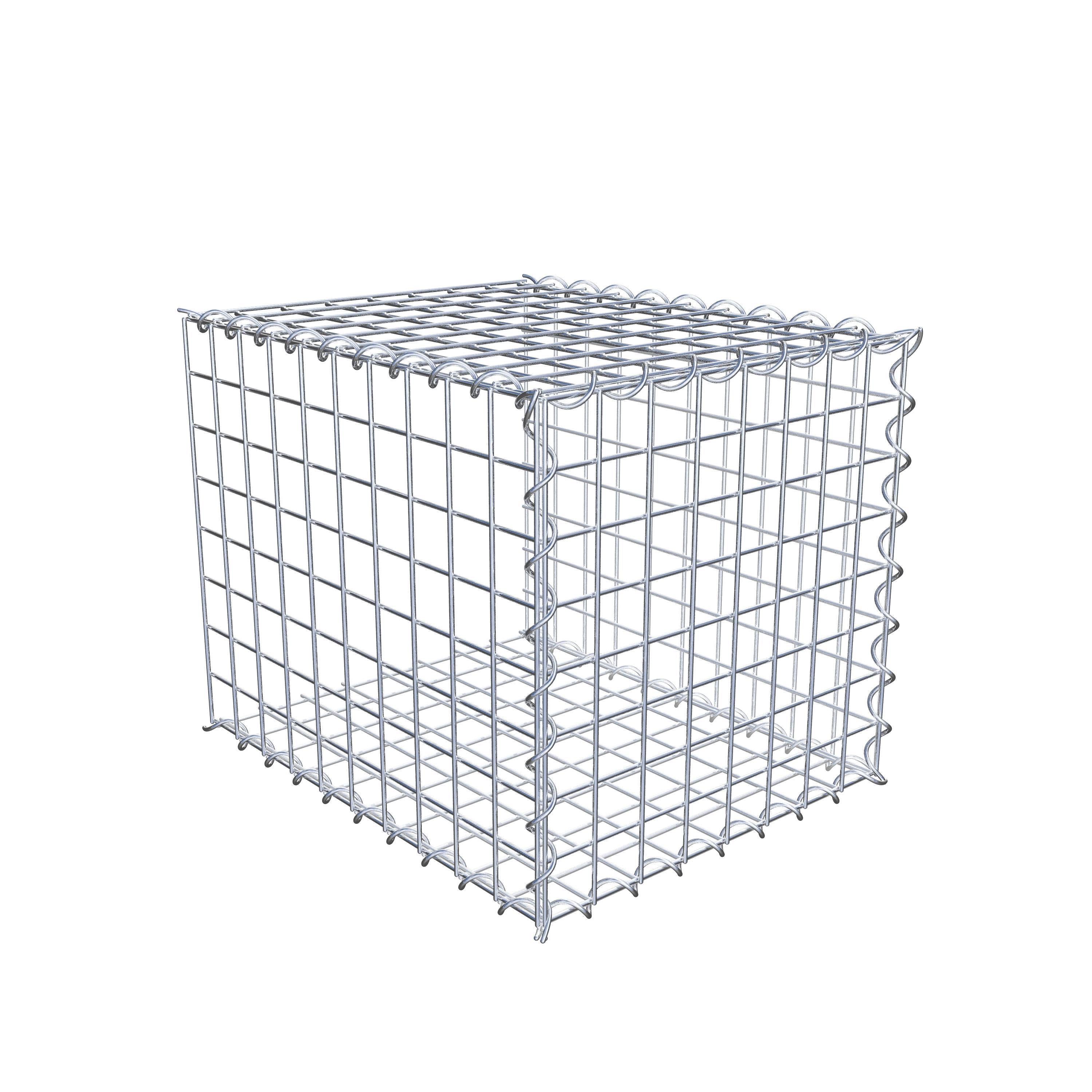 Grown-on gabion type 2 50 cm x 40 cm x 40 cm (L x H x D), mesh size 5 cm x 5 cm, spiral