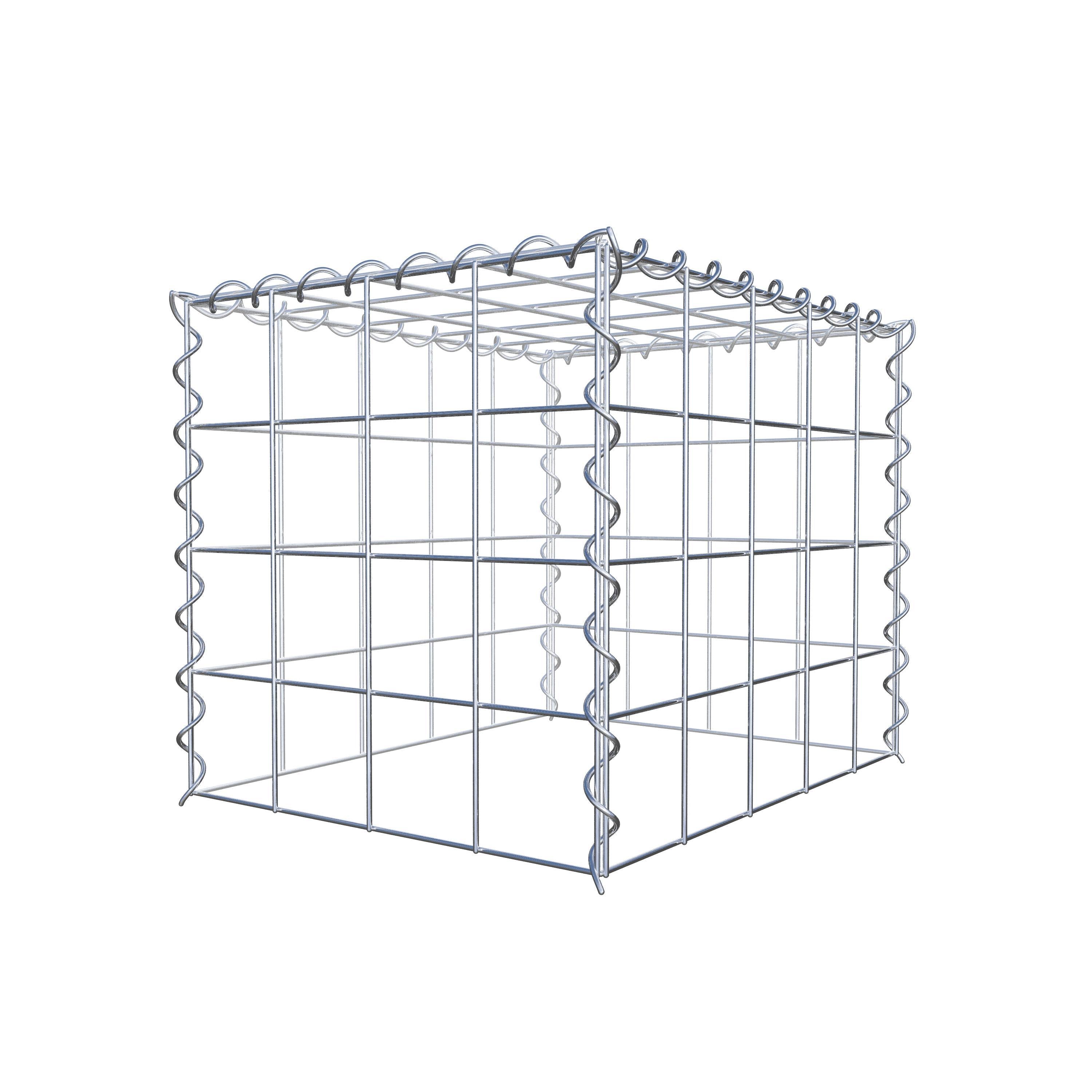 Grown-on gabion type 3 50 cm x 40 cm x 40 cm (L x H x D), mesh size 10 cm x 10 cm, spiral