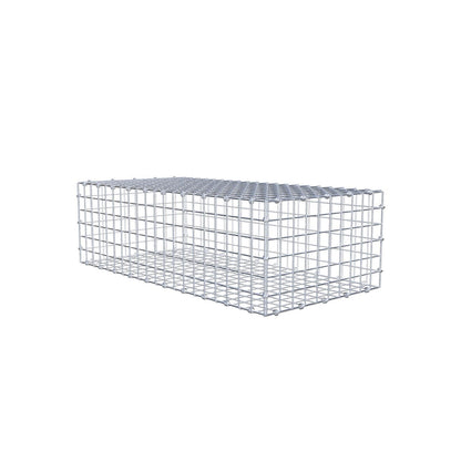 Gabion 100 cm x 30 cm x 50 cm (L x H x D), maskstorlek 5 x 5 cm, spiralring