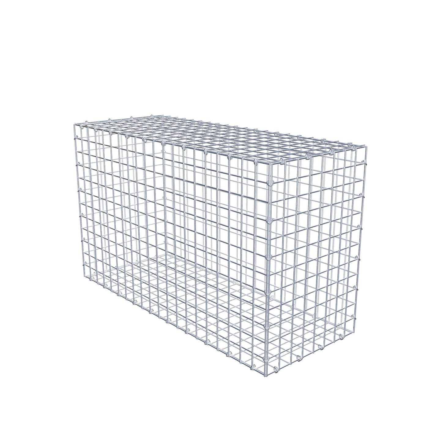 Gabion 100 cm x 60 cm x 40 cm (L x H x P), mailles 5 cm x 5 cm, anneau en C