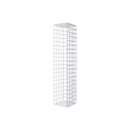 Mounted gabion type 2 100 cm x 20 cm x 20 cm (L x H x D), mesh size 5 cm x 5 cm, C-ring