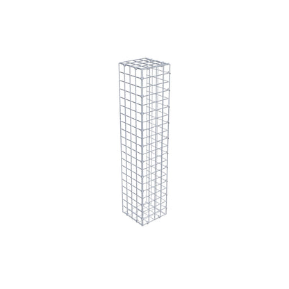 Mounted gabion type 2 100 cm x 20 cm x 20 cm (L x H x D), mesh size 5 cm x 5 cm, C-ring