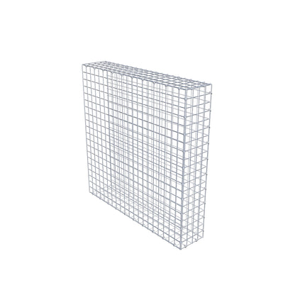 Extra gabion typ 2 100 cm x 100 cm x 20 cm (L x H x D), maskstorlek 5 cm x 5 cm, C-ring