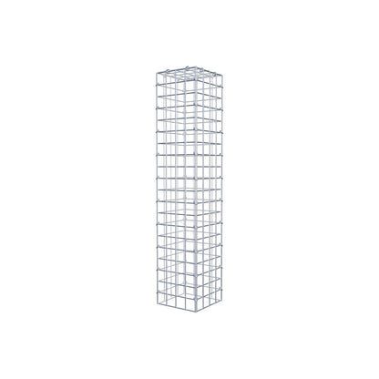 Monteret gabion type 3 100 cm x 20 cm x 20 cm (L x H x D), maskestørrelse 5 cm x 5 cm, C-ring
