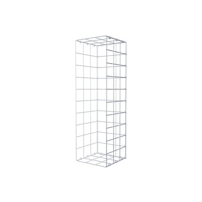 Monteret gabion type 2 100 cm x 30 cm x 30 cm (L x H x D), maskestørrelse 10 cm x 10 cm, C-ring