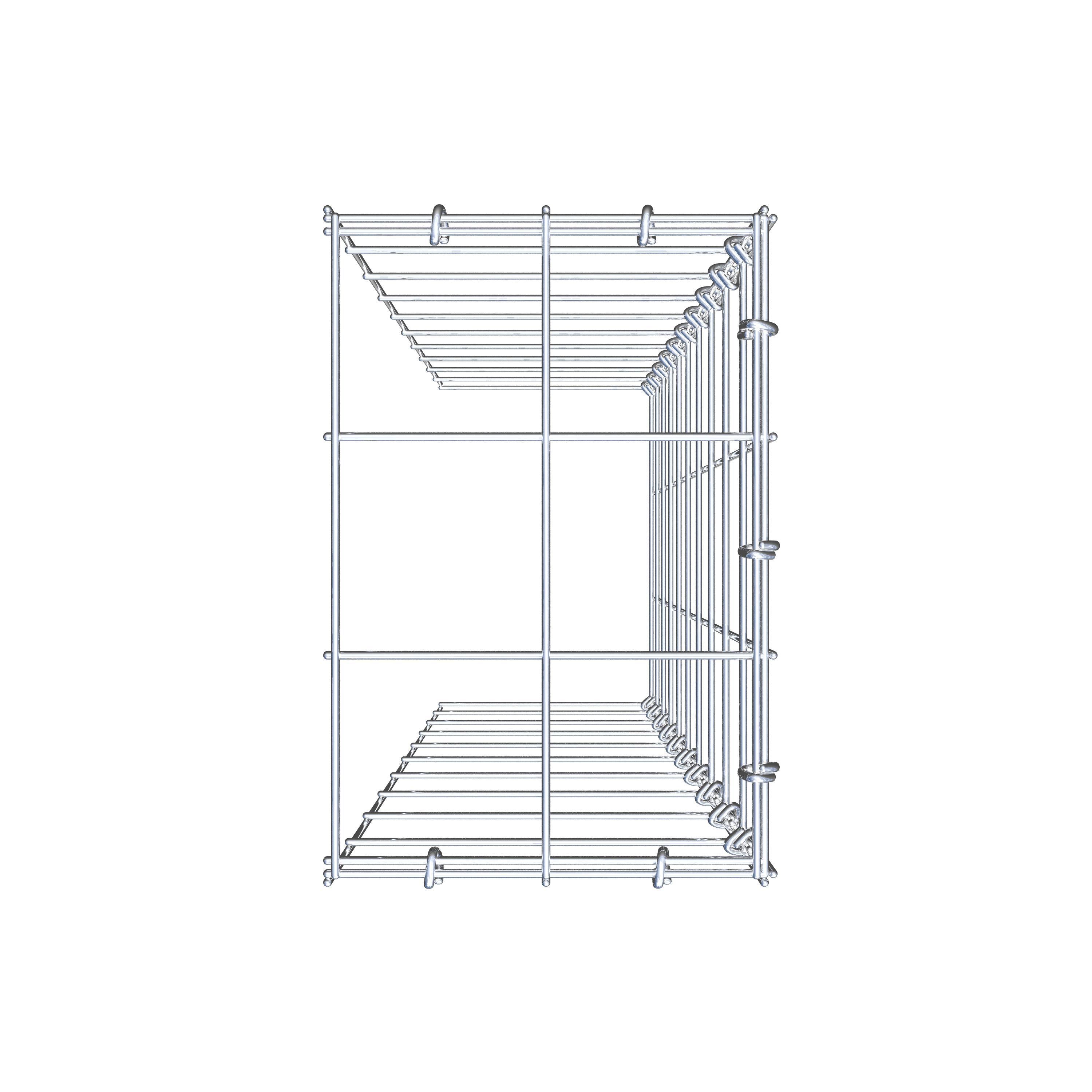 Anbaugabione Typ 4 100 cm x 20 cm x 30 cm (L x H x T), Maschenweite 10 cm x 10 cm, C-Ring