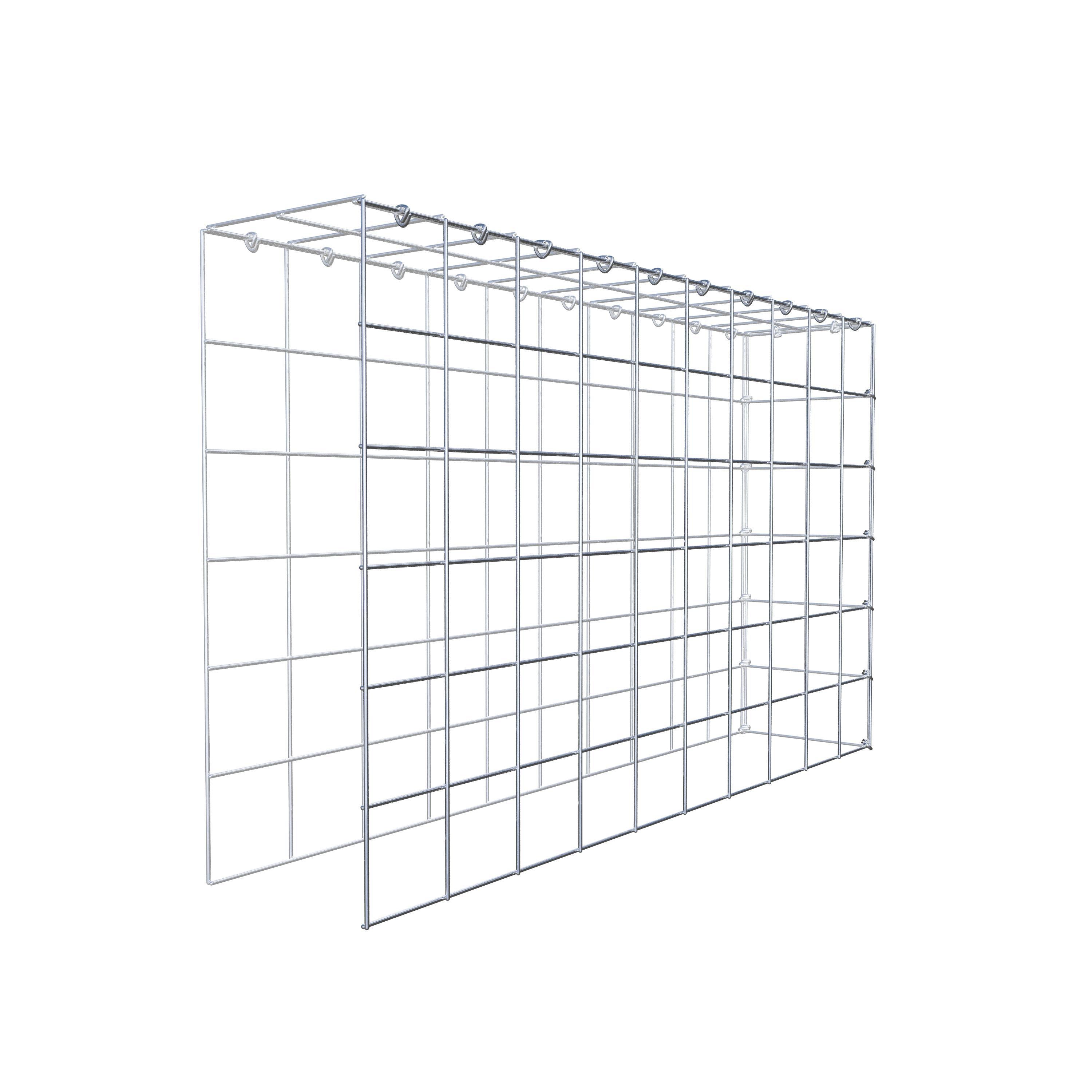 Monteret gabion type 4 100 cm x 60 cm x 20 cm (L x H x D), maskestørrelse 10 cm x 10 cm, C-ring