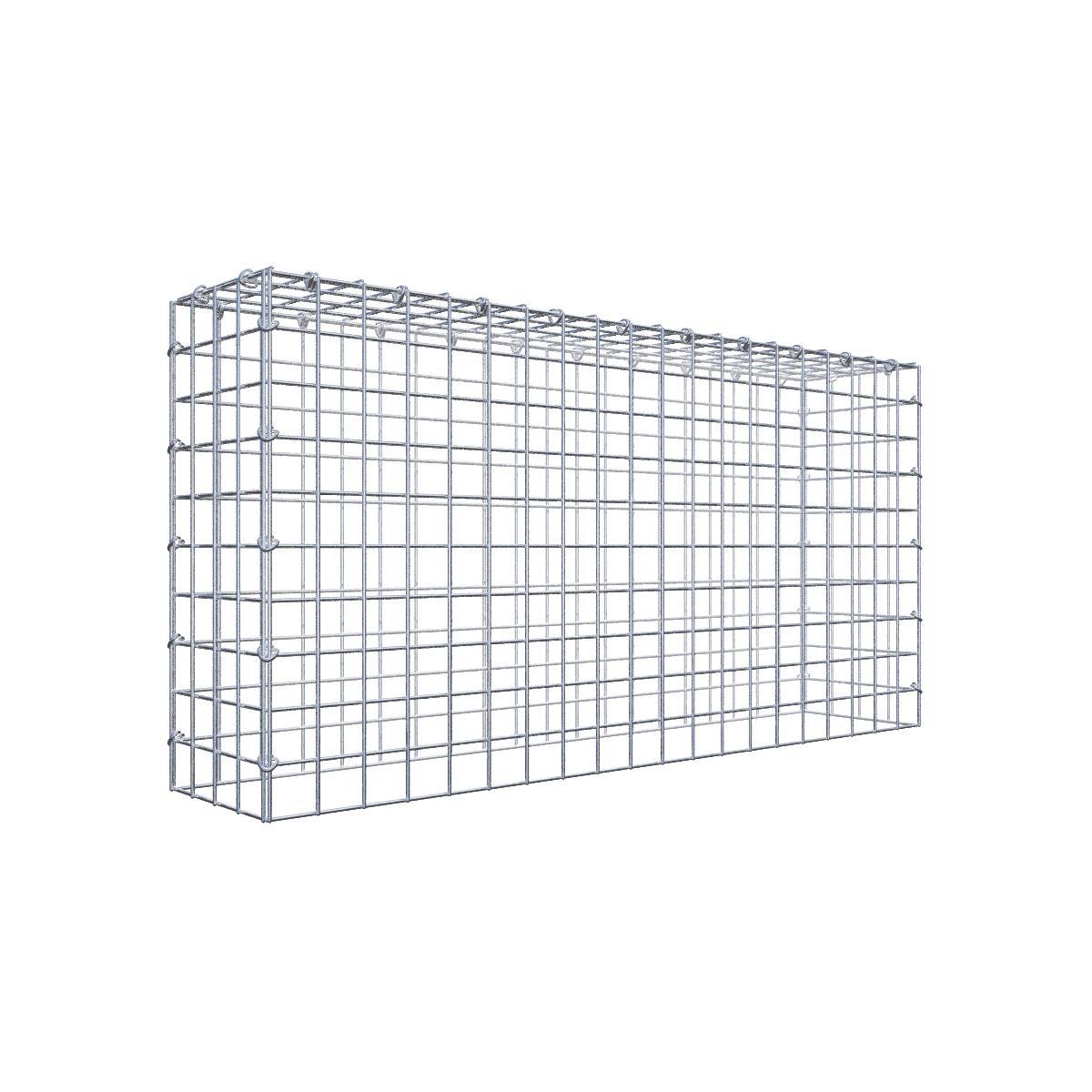 Gabione 05x05 100x050x020 Typ3 C-Ring