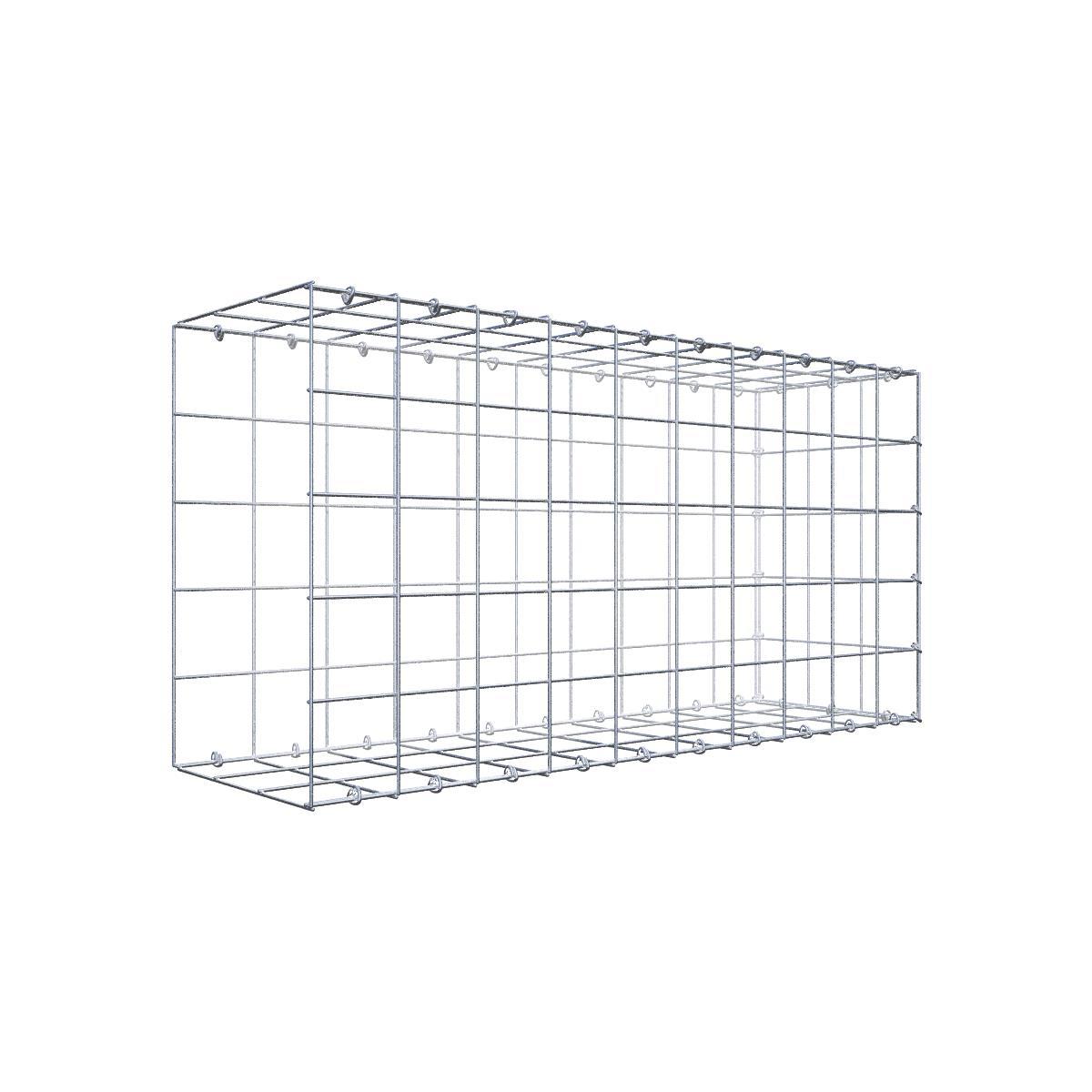 Gabione 10x10 100x050x030 Typ2 C-Ring