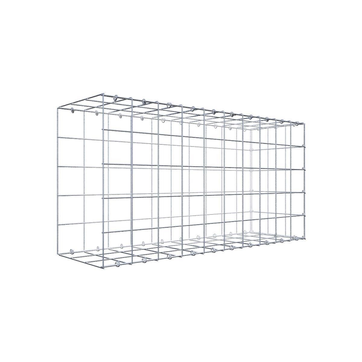 Gabione 10x10 100x050x030 Typ2 C-Ring