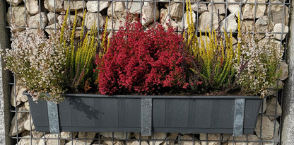 Support pour caissettes à fleurs galvanisé en set de 3 avec pot de fleurs, pour gabions MW 5 x 10