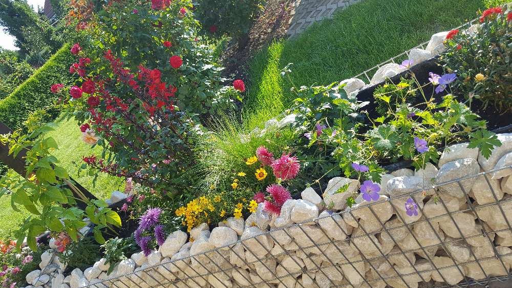 Gabion højbed efter mål - maskestørrelse 5x10cm