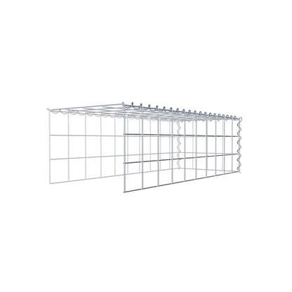 Grown-on gabion type 4 100 cm x 30 cm x 40 cm (L x H x D), mesh size 10 cm x 10 cm, spiral