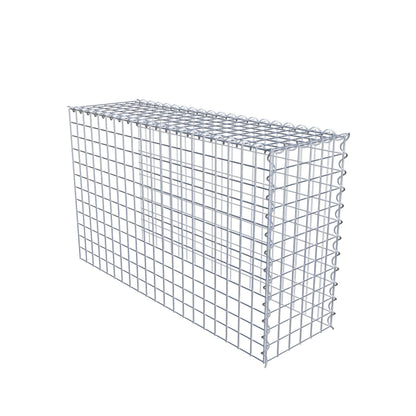 Opvokset gabion type 4 100 cm x 60 cm x 30 cm (L x H x D), maskestørrelse 5 cm x 5 cm, spiral